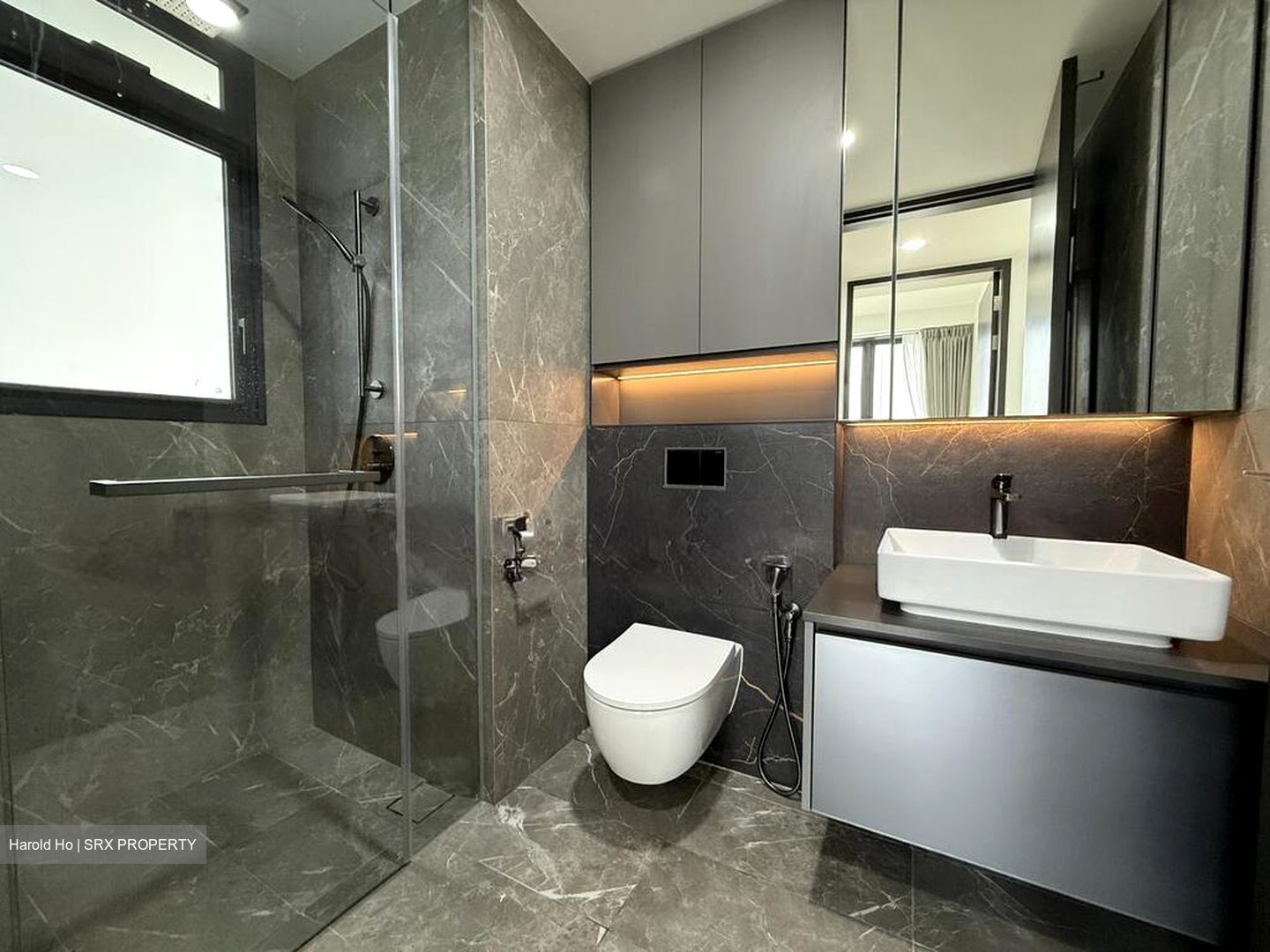 Irwell Hill Residences (D9), Apartment #579097811